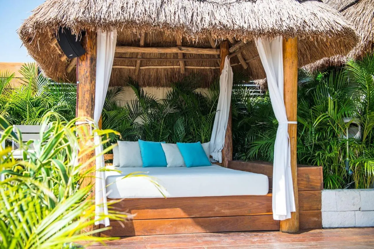 Naay Tulum Curamoria Collection Mexico