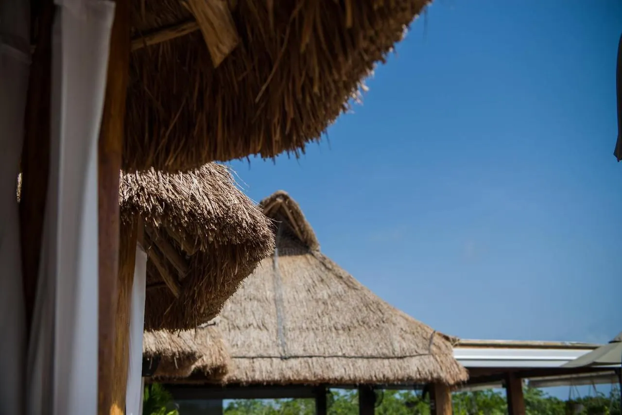 Naay Tulum Curamoria Collection